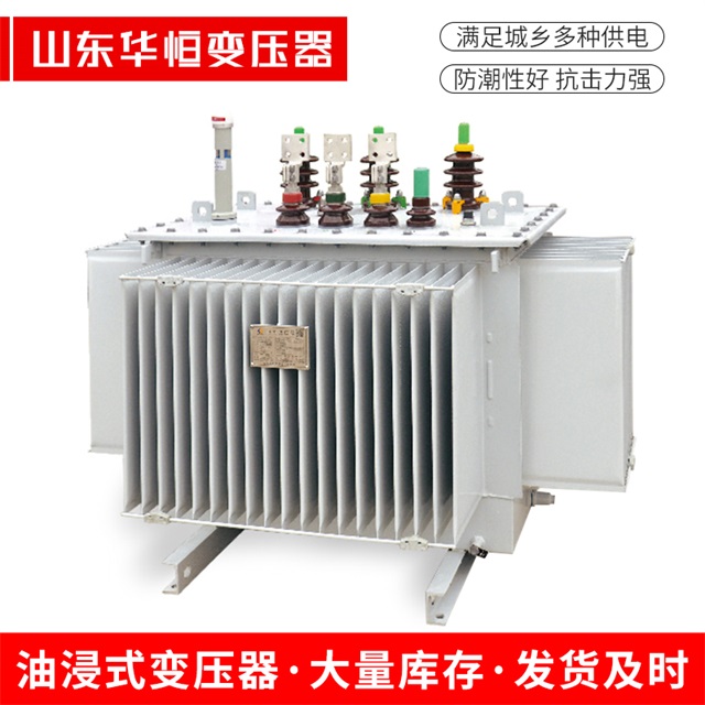S13-10000/35平鲁平鲁平鲁电力变压器